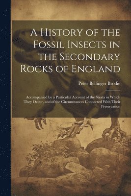 bokomslag A History of the Fossil Insects in the Secondary Rocks of England