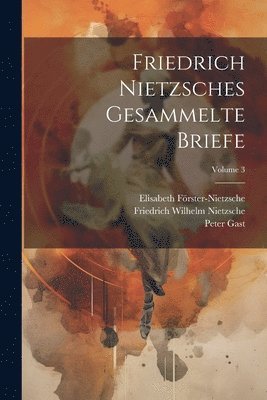 Friedrich Nietzsches Gesammelte Briefe; Volume 3 1