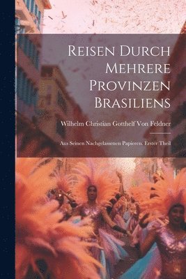 bokomslag Reisen durch mehrere Provinzen Brasiliens