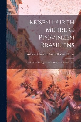 bokomslag Reisen durch mehrere Provinzen Brasiliens