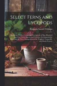 bokomslag Select Ferns and Lycopods
