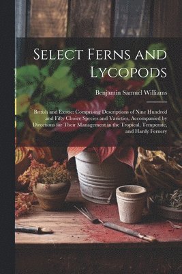 Benjamin Samuel Williams - Select Ferns and Lycopods, Häftad