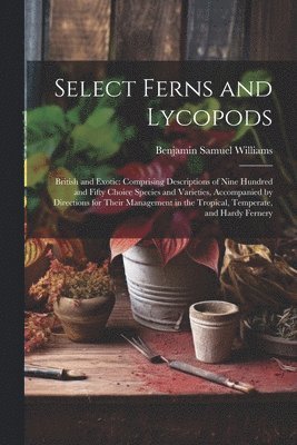 Select Ferns and Lycopods 1