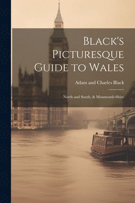 Black's Picturesque Guide to Wales 1