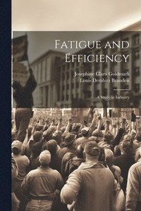 bokomslag Fatigue and Efficiency