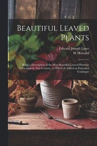 bokomslag Beautiful Leaved Plants