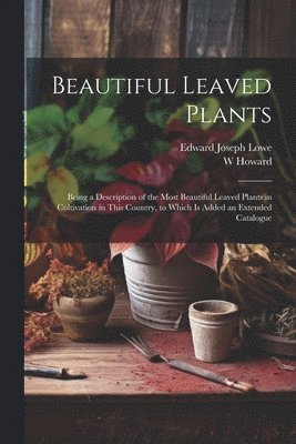 Beautiful Leaved Plants 1