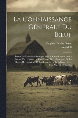 Connaissance Générale Du Boeuf