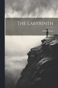 bokomslag The Labyrinth