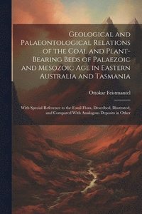 bokomslag Geological and Palaeontological Relations of the Coal and Plant-Bearing Beds of Palaezoic and Mesozoic Age in Eastern Australia and Tasmania