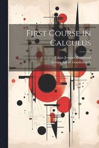 bokomslag First Course in Calculus