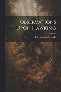 bokomslag Observations Upon Hawking