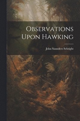 bokomslag Observations Upon Hawking