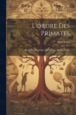 bokomslag L'ordre Des Primates