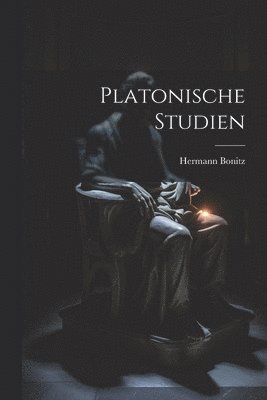 bokomslag Platonische Studien