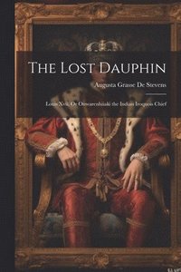 bokomslag The Lost Dauphin