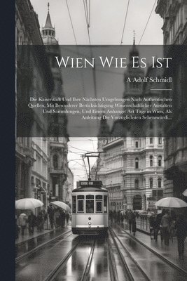 A Adolf Schmidl, A. Adolf Schmidl - Wien Wie Es Ist, Häftad