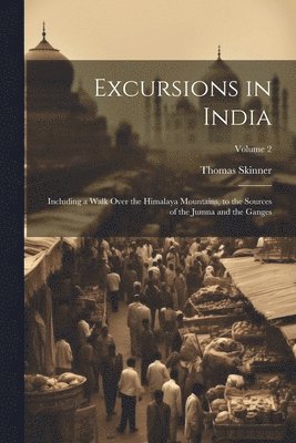 bokomslag Excursions in India