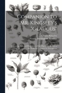 bokomslag Companion to Mr. Kingsley's &quot;Glaucus&quot;
