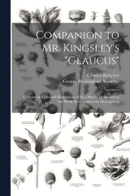 Charles Kingsley, George Brettingham Sowerby - Companion to Mr. Kingsley's "Glaucus", Häftad