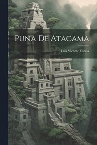 bokomslag Puna De Atacama