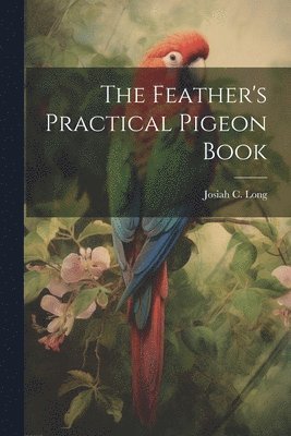 bokomslag The Feather's Practical Pigeon Book