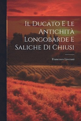 bokomslag Il Ducato E Le Antichit Longobarde E Saliche Di Chiusi