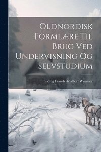 bokomslag Oldnordisk Formlre Til Brug Ved Undervisning Og Selvstudium
