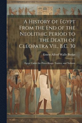bokomslag A History of Egypt From the End of the Neolithic Period to the Death of Cleopatra Vii., B.C. 30: Egypt Under the Priest-Kings, Tanites, and Nubians