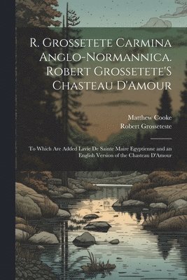 Matthew Cooke, Robert Grosseteste - R. Grossetete Carmina Anglo-Normannica. Robert Grossetete'S Chasteau D'Amour, Häftad