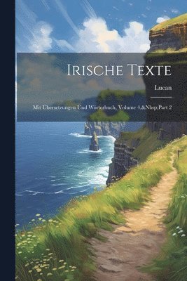 bokomslag Irische Texte