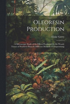 Oleoresin Production 1