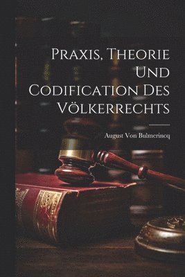 bokomslag Praxis, Theorie Und Codification Des Vlkerrechts