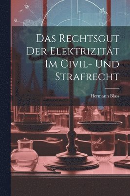 bokomslag Das Rechtsgut Der Elektrizitt Im Civil- Und Strafrecht