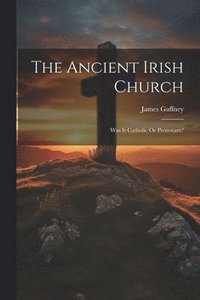 bokomslag The Ancient Irish Church