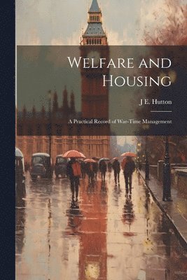 bokomslag Welfare and Housing