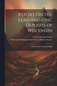 bokomslag Report On the Lead and Zinc Deposits of Wisconsin