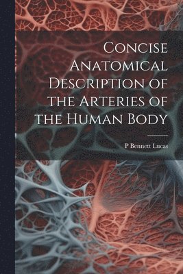 Concise Anatomical Description of the Arteries of the Human Body 1