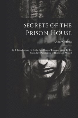 bokomslag Secrets of the Prison-House