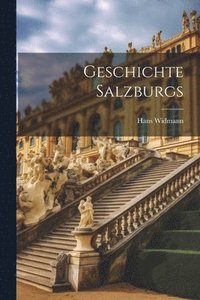 bokomslag Geschichte Salzburgs
