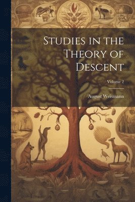 bokomslag Studies in the Theory of Descent; Volume 2