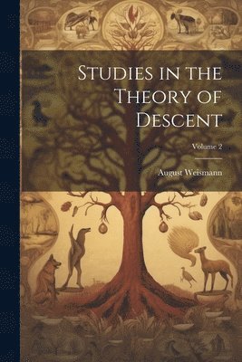 August Weismann - Studies in the Theory of Descent; Volume 2, Häftad