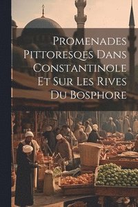 bokomslag Promenades Pittoresqes Dans Constantinole Et Sur Les Rives Du Bosphore