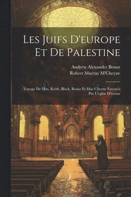 bokomslag Les Juifs D'europe Et De Palestine