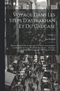 bokomslag Voyage Dans Les Steps D'astrakhan Et Du Caucase