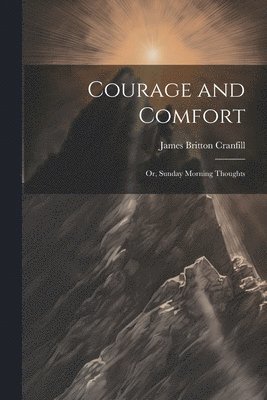 bokomslag Courage and Comfort