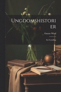 bokomslag Ungdomshistorier