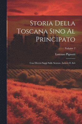 bokomslag Storia Della Toscana Sino Al Principato