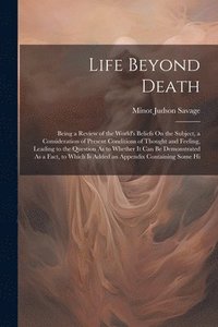 bokomslag Life Beyond Death