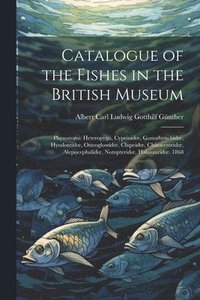 bokomslag Catalogue of the Fishes in the British Museum